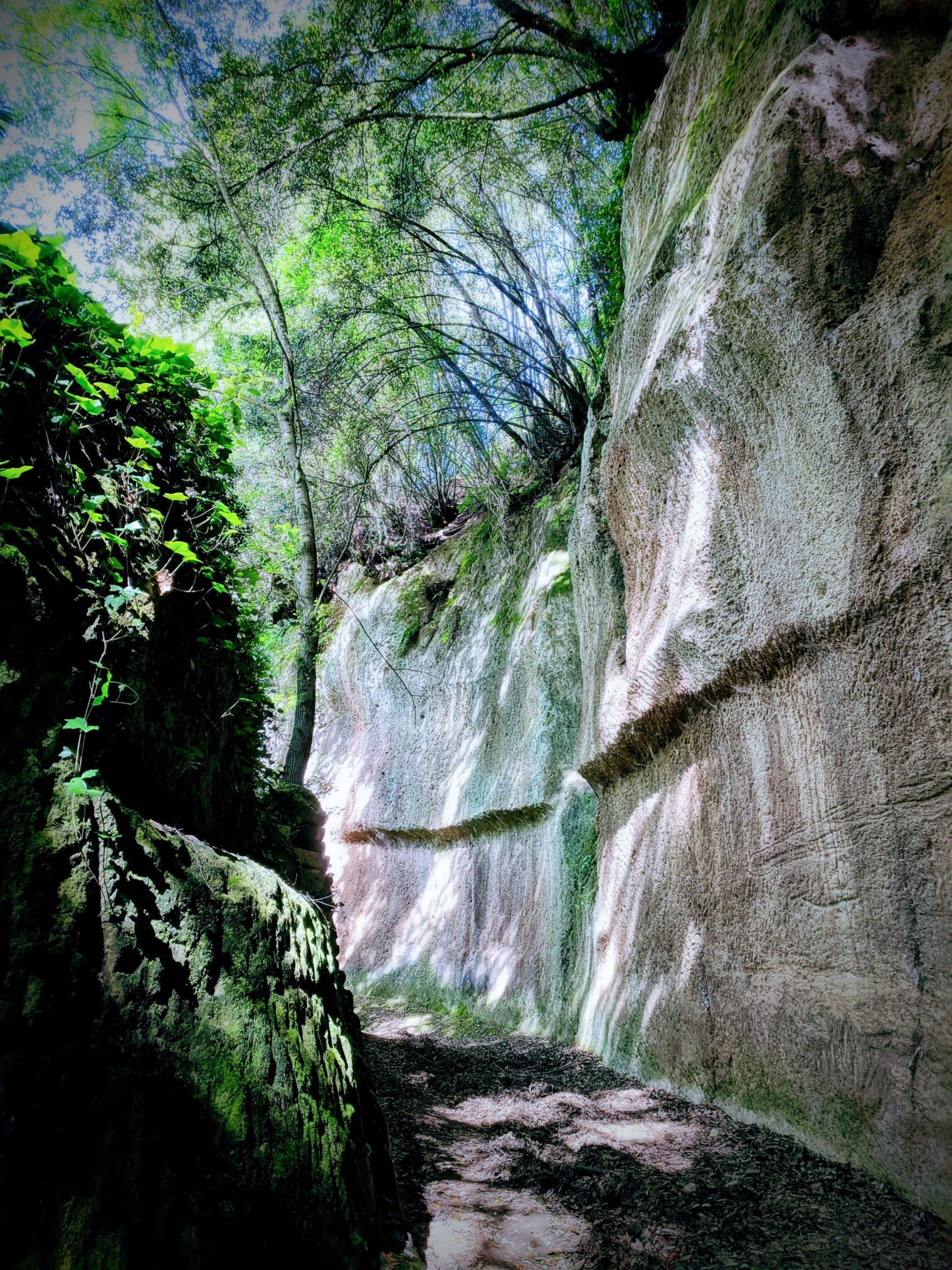 Vie Cave Etrusche TaniaMasi
