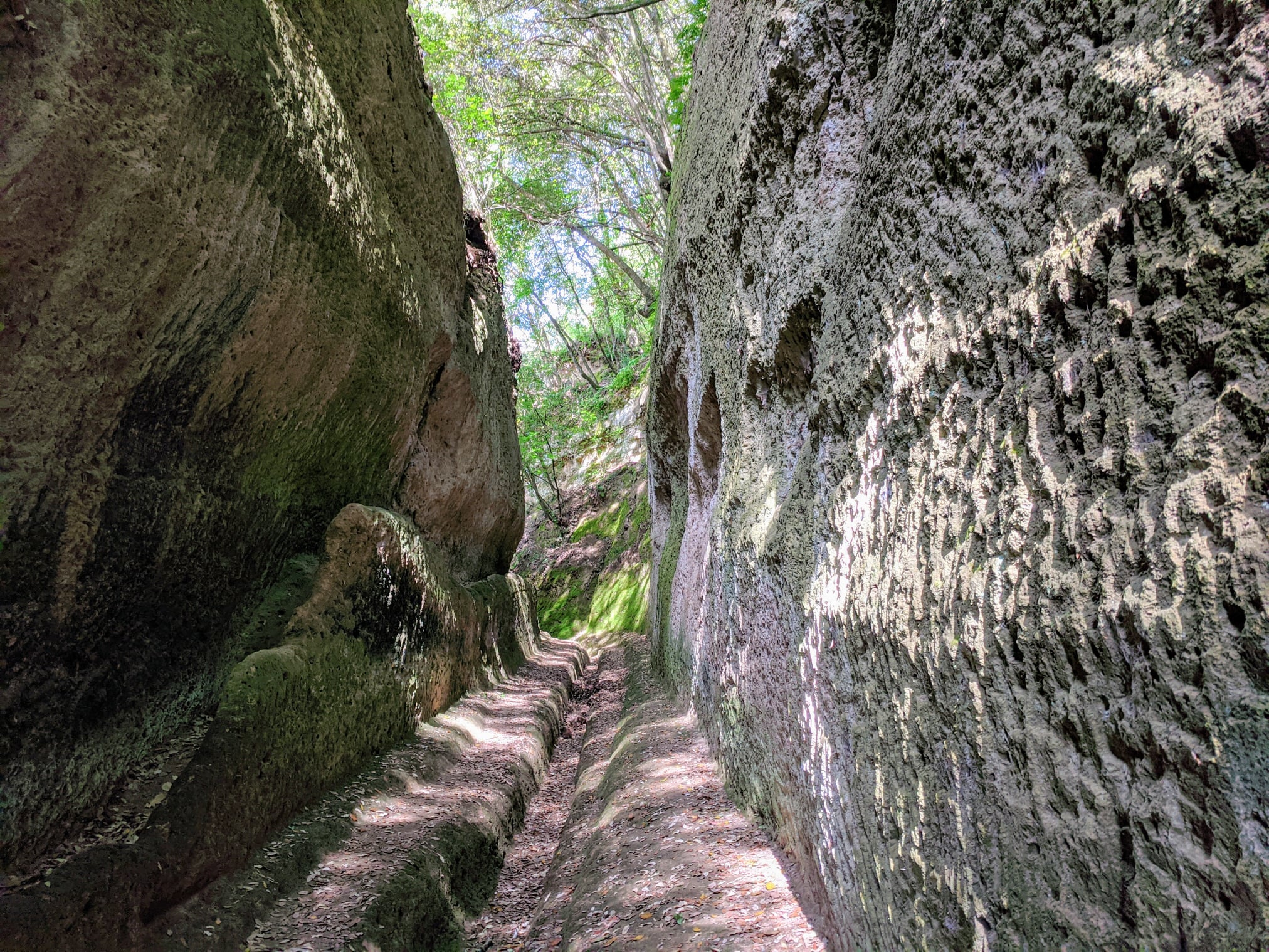 Vie Cave Etrusche TaniaMasi